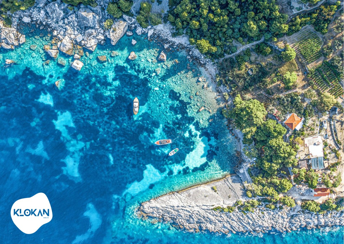 Breathtaking coastal vineyards of Croatia overlooking the Adriatic Sea